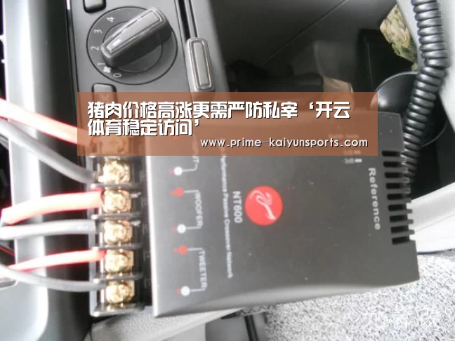 开云体育稳定访问