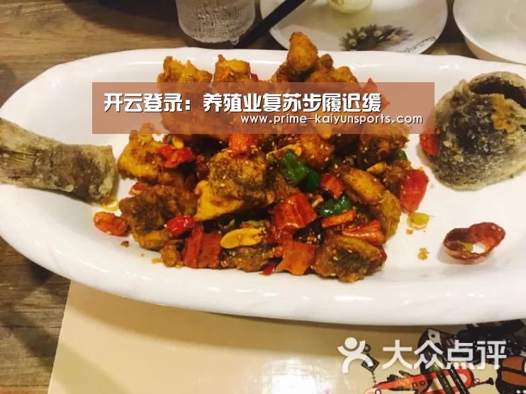 开云登录:养殖业复苏步履迟缓(图3) 开云体育官网