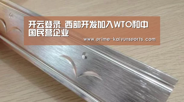 开云登录_西部开发加入WTO和中国民营企业(图2) 开云体育官方