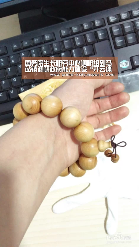 国务院生长研究中心调研组到马站镇调研政府能力建设“开云体育稳定访问”(图1) 开云体育官方