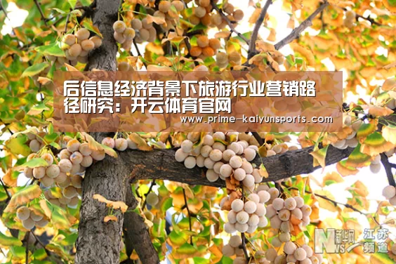 开云体育稳定访问