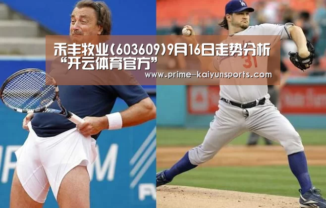 禾丰牧业(603609)9月16日走势分析“开云体育官方”(图2) 开云体育官方