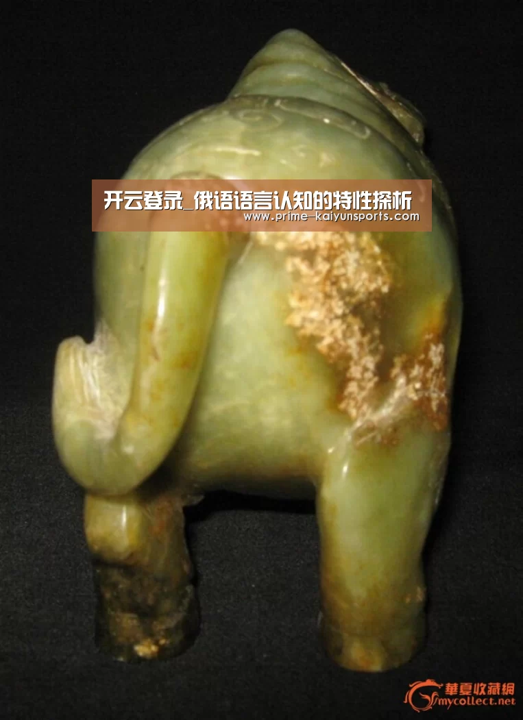 开云登录_俄语语言认知的特性探析(图2) 开云登录