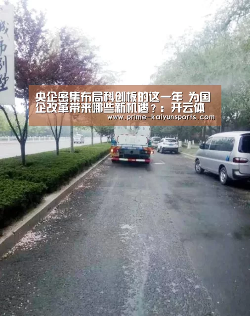 央企密集布局科创板的这一年 为国企改革带来哪些新机遇?:开云体育官网(图1) 开云体育稳定访问