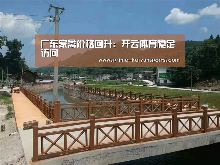 开云体育稳定访问