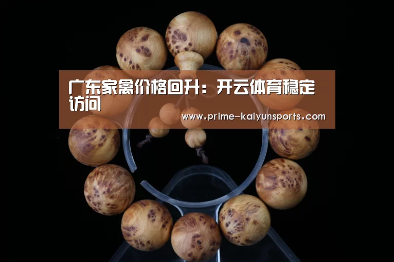 开云体育官网
