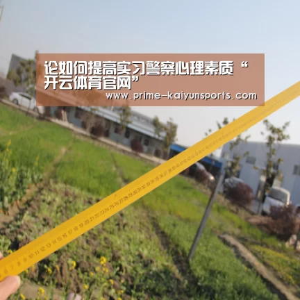 开云体育稳定访问