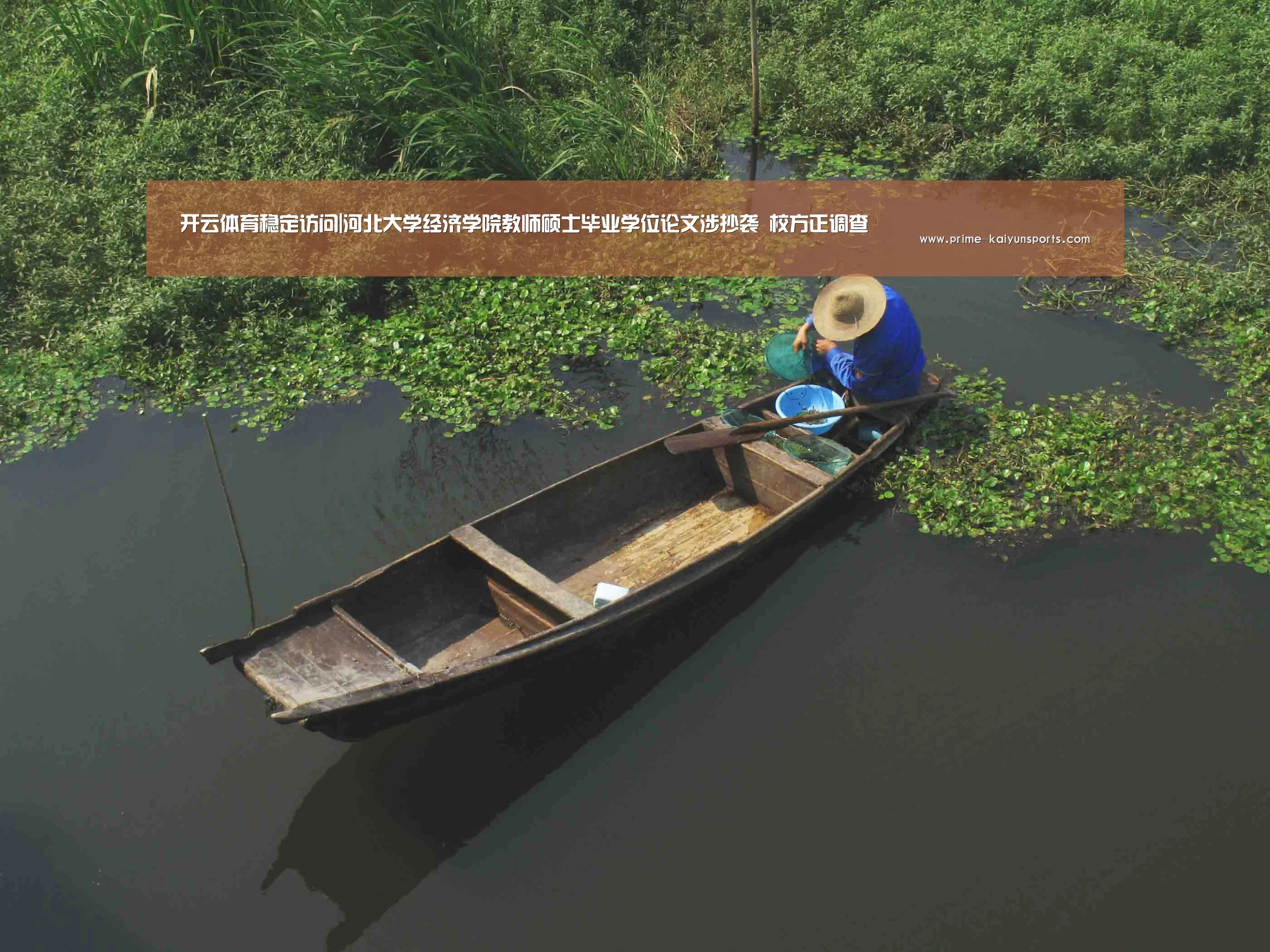 开云登录