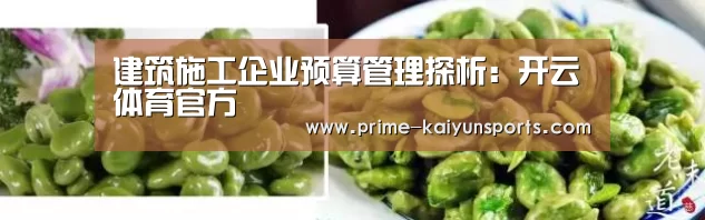 开云体育稳定访问