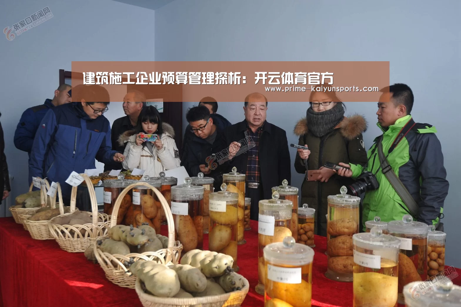 开云体育官网