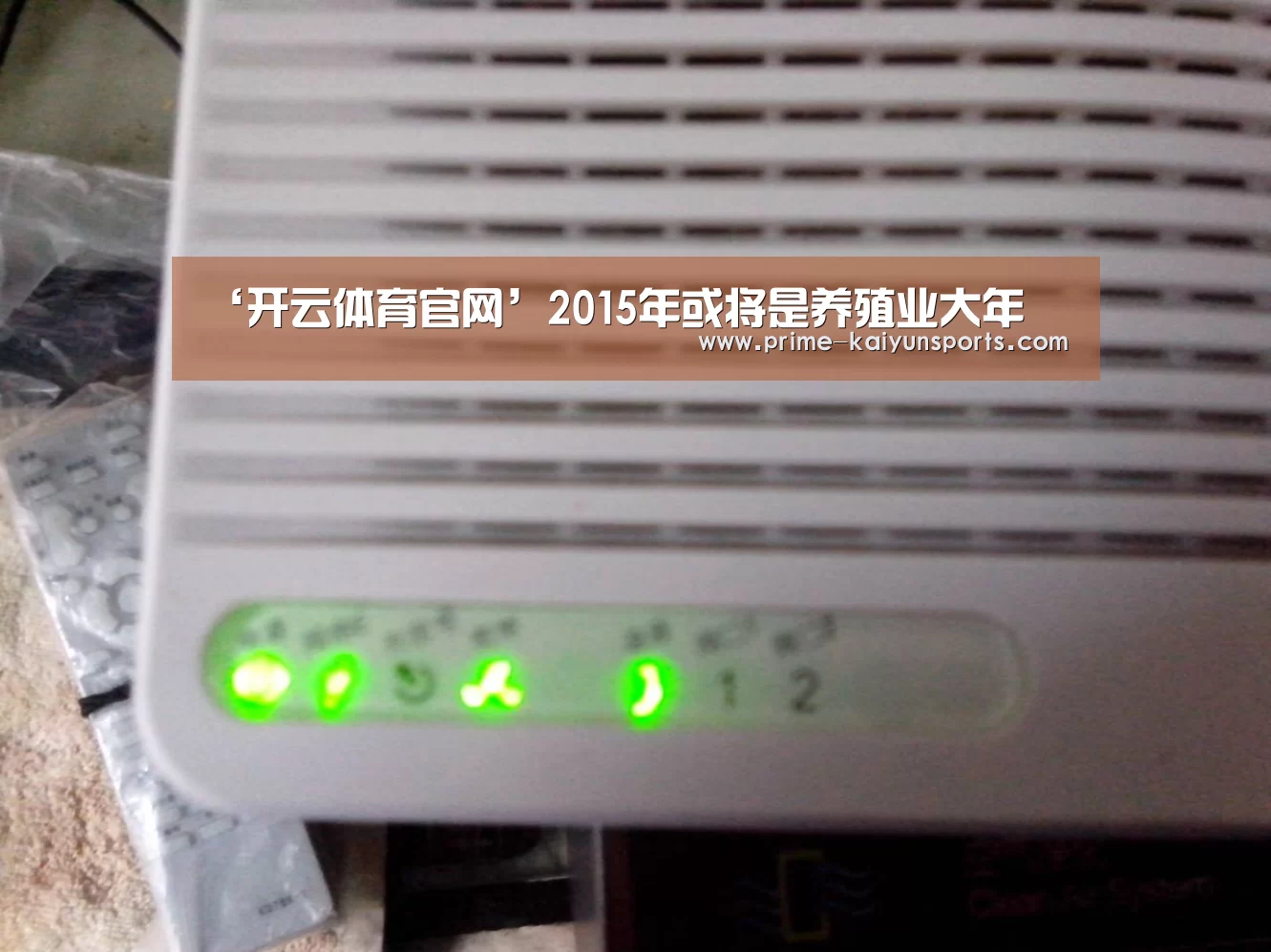 ‘开云体育官网’2015年或将是养殖业大年(图2) 开云体育官网