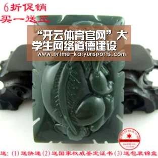 开云体育稳定访问