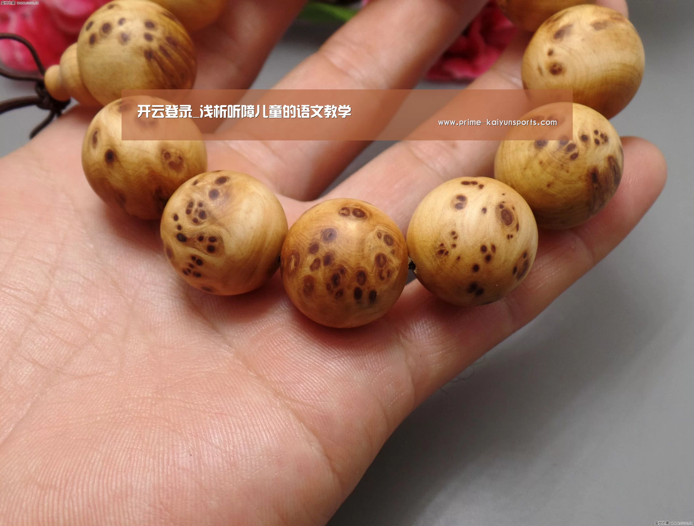 开云体育稳定访问