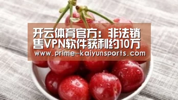 开云体育官方:非法销售VPN软件获利约10万 贵阳一人被警方行政拘留(图3) 开云体育官网