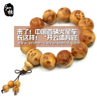 来了!中国首辆火星车长这样!‘开云体育官网’(图1) 开云体育官网