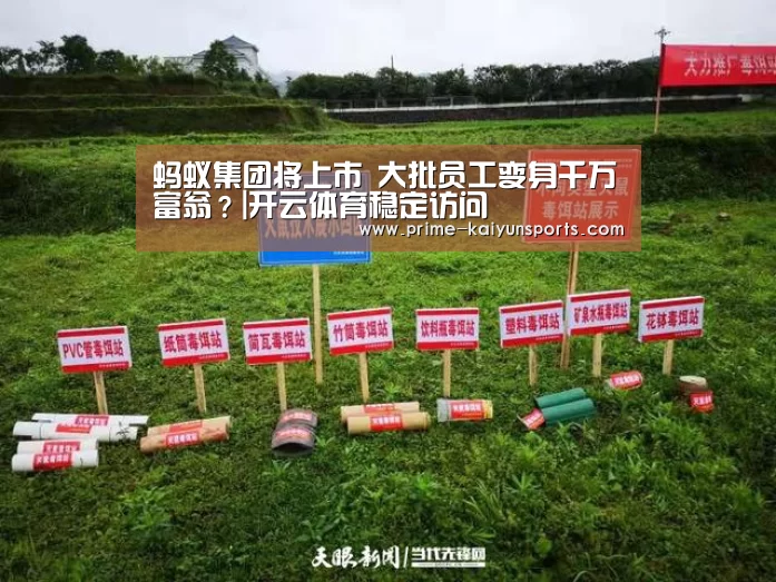 开云体育官方