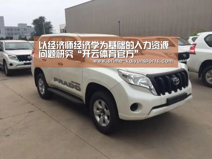 以经济师经济学为基础的人力资源问题研究“开云体育官方”(图3) 开云体育官方