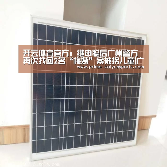 开云体育官方:继申聪后广州警方再次找回2名“梅姨”案被拐儿童|广州(图3) 开云体育官网